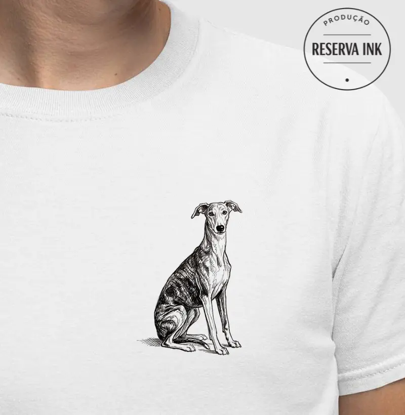 Galgo - Desenho