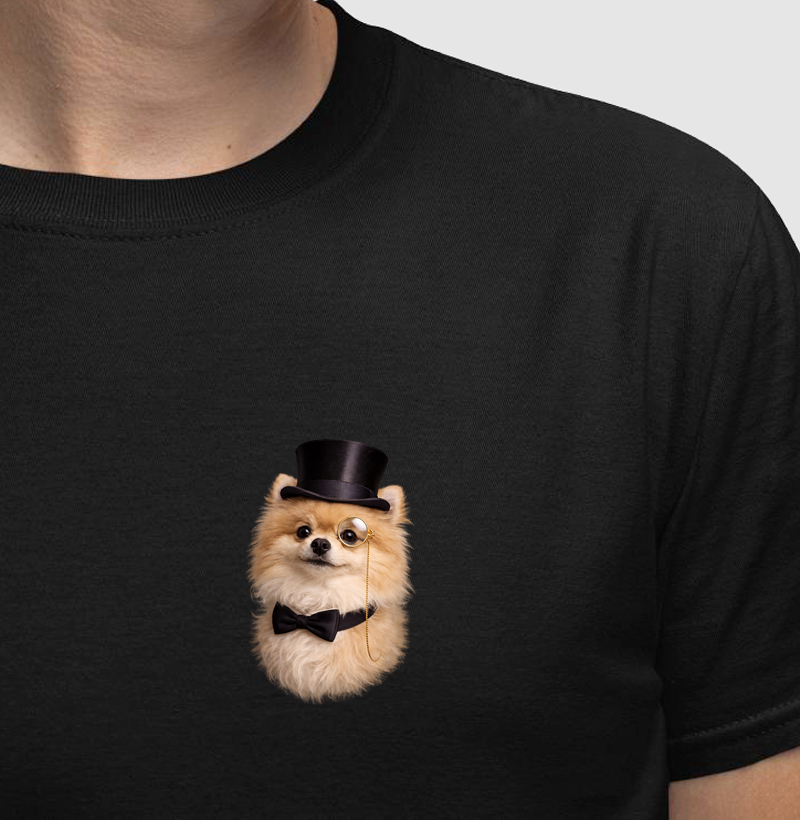 lulu da pomerania spitz alemão - Gentleman