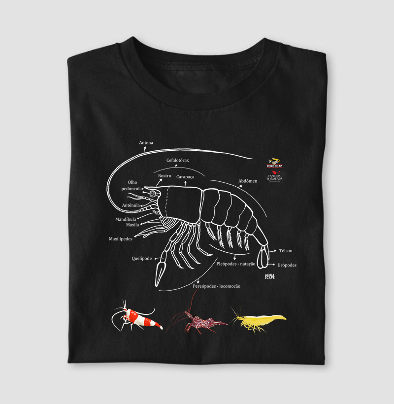 Camarão (decapodas) @peixedeap e @fazendasubmersa
