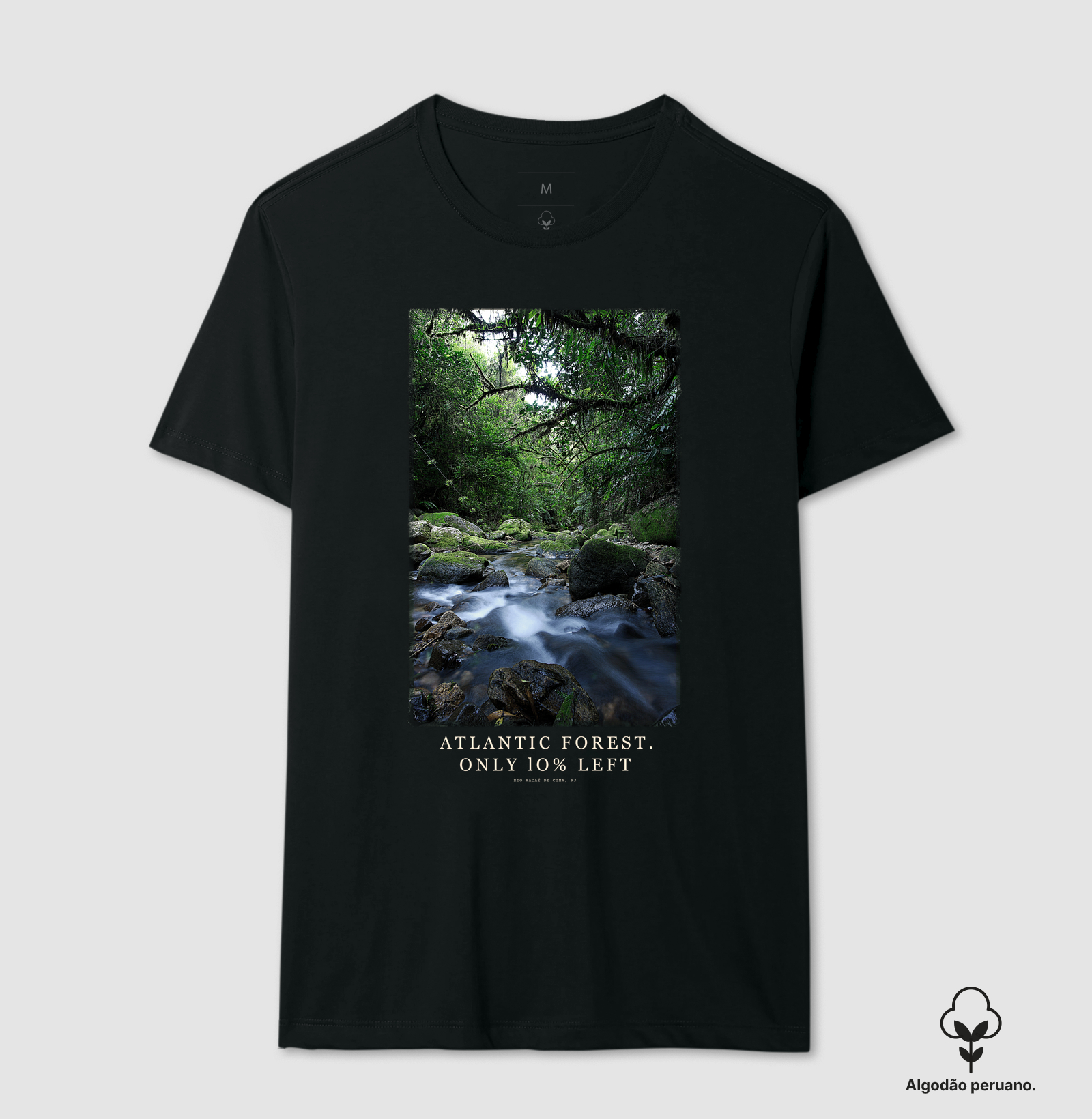 Atlantic Forest