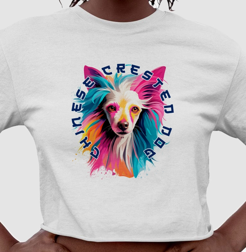 Cão de Crista Chinês Ai Colorida