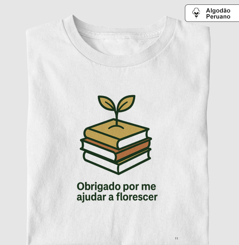 Professor Florescer do Saber