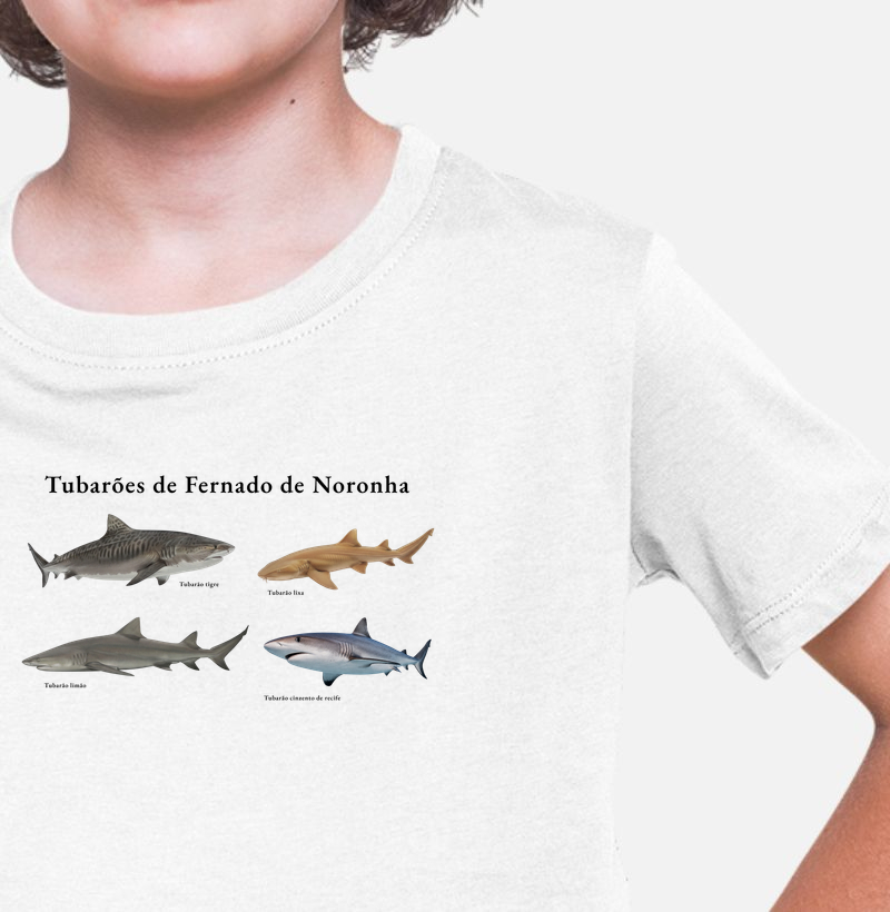 Tubarões de Fernando de Noronha