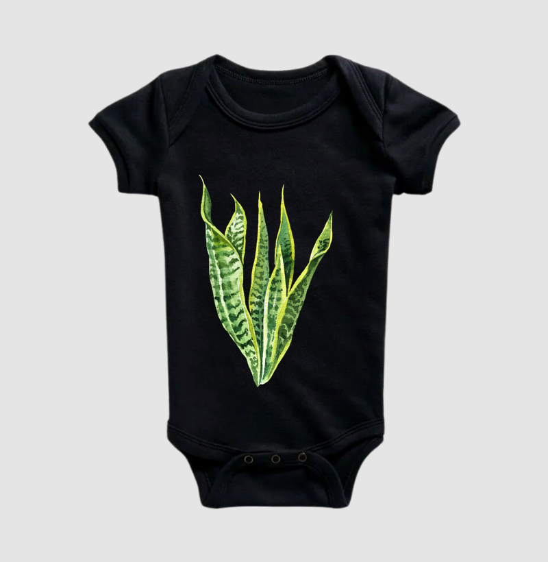 Espada-de-São-Jorge