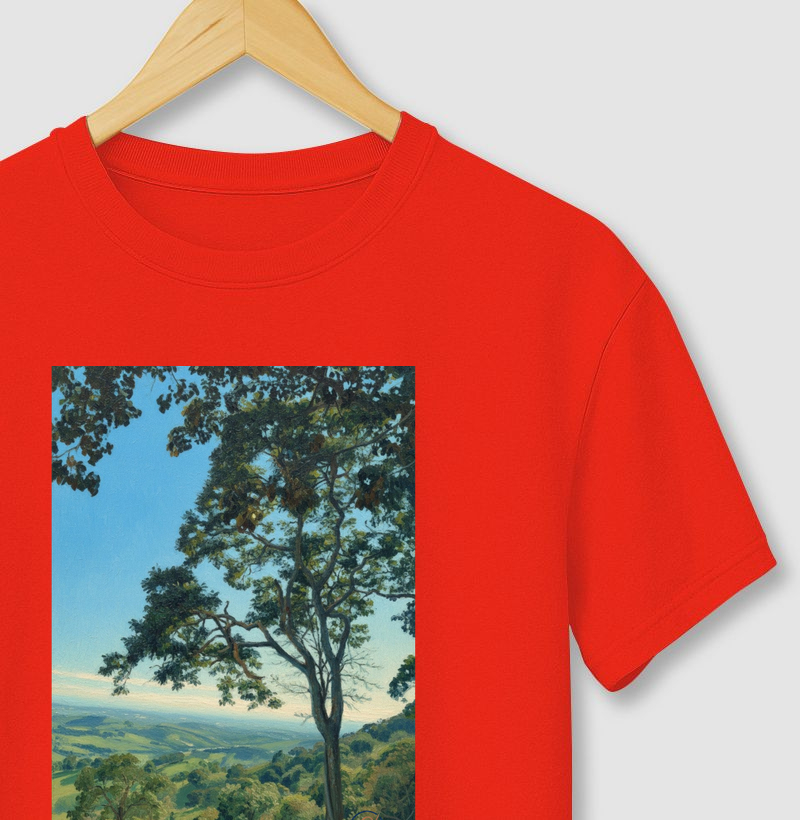 Serra do Caçador Estiva Minas Gerais (tela2)