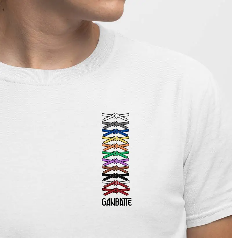 Ordem das faixas do Judô