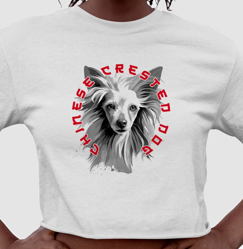 Cão de Crista Chinês Ai 