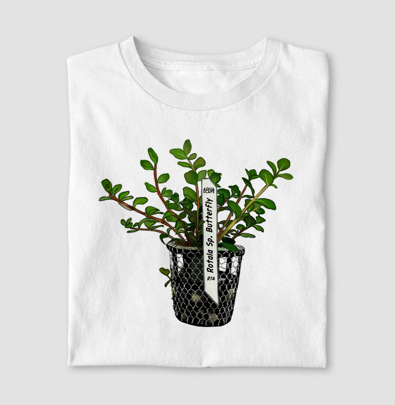 Coleção: Plantas do Aquapaisagismo - Rotala sp. Butterfly