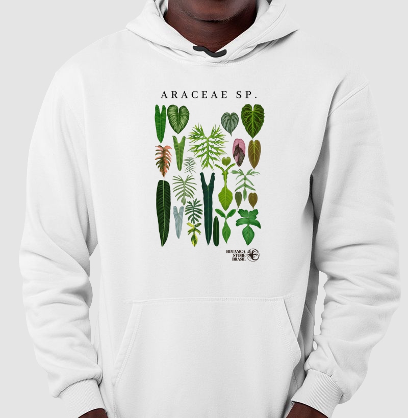 ARACEAE SP