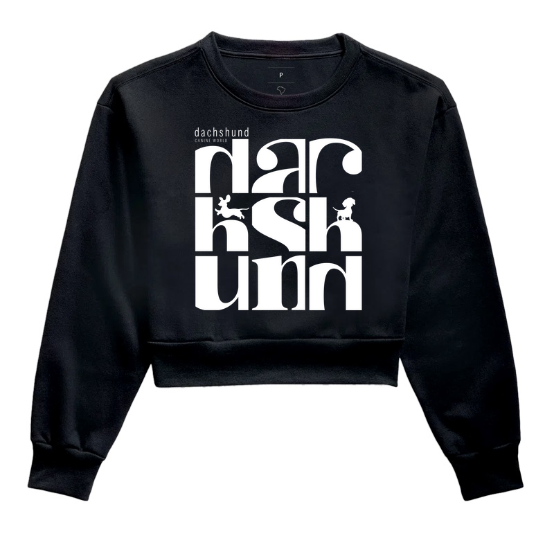 Dauchshund - Tipolografia