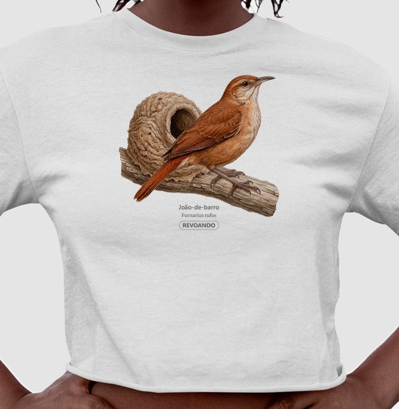 Traços Alados - João-de-barro - Cropped