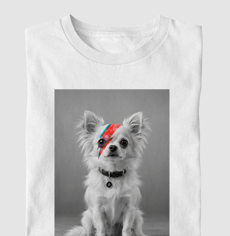 Glam Rock Chihuahua ⚡