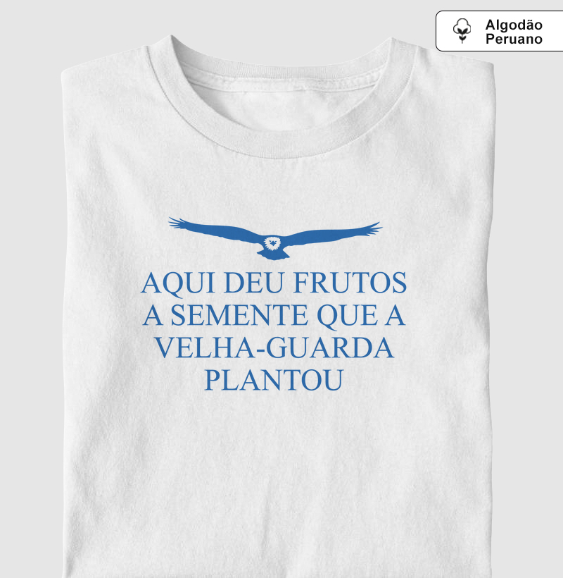 Algodão Peruano - Aqui deu frutos a semente que a velha-guarda plantou