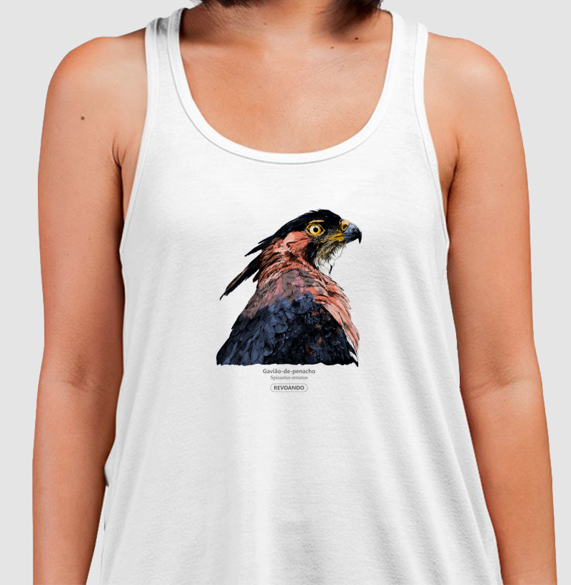 Rapinas Inky - Gavião-de-penacho - Regata