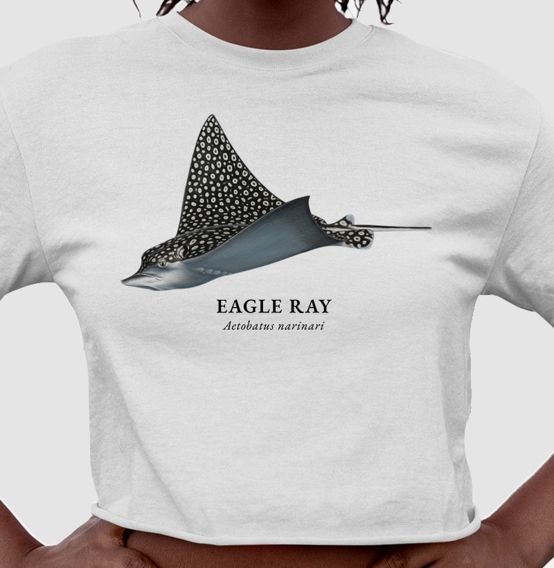 Eagle Ray