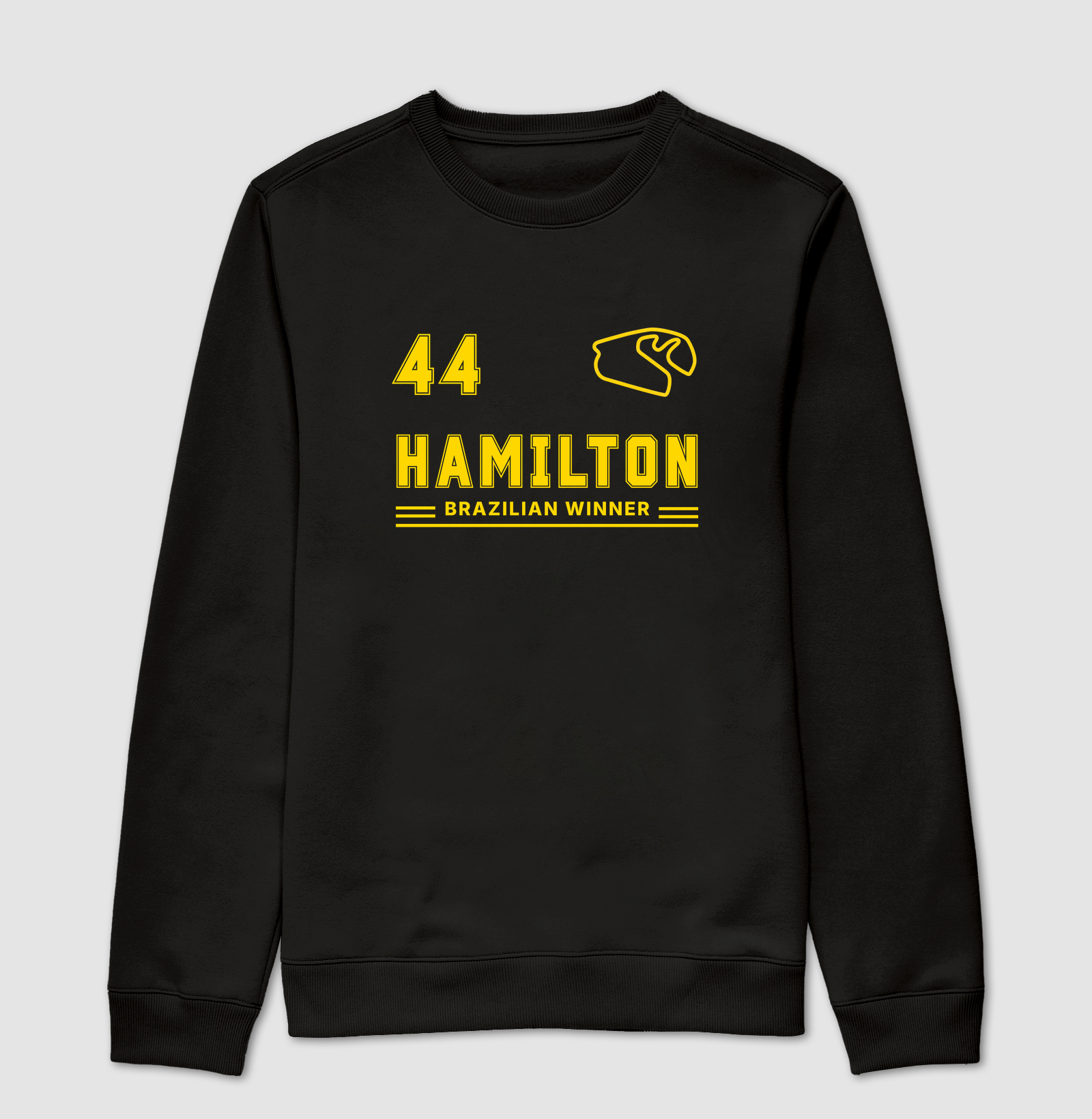 Lewis Hamilton Brazilian Winner