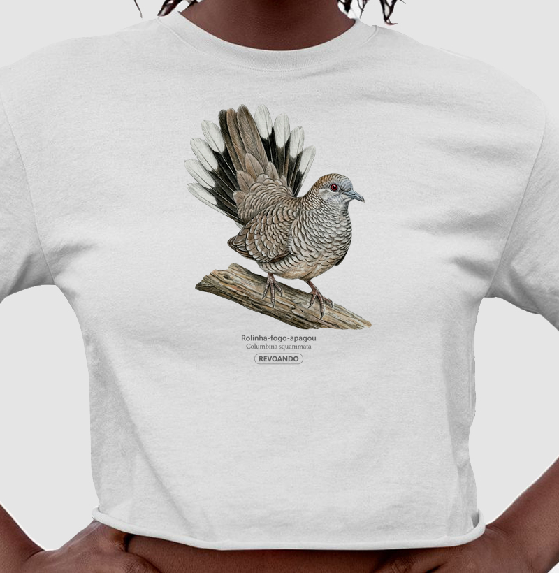 Traços Alados - Rolinha-fogo-apagou - Cropped