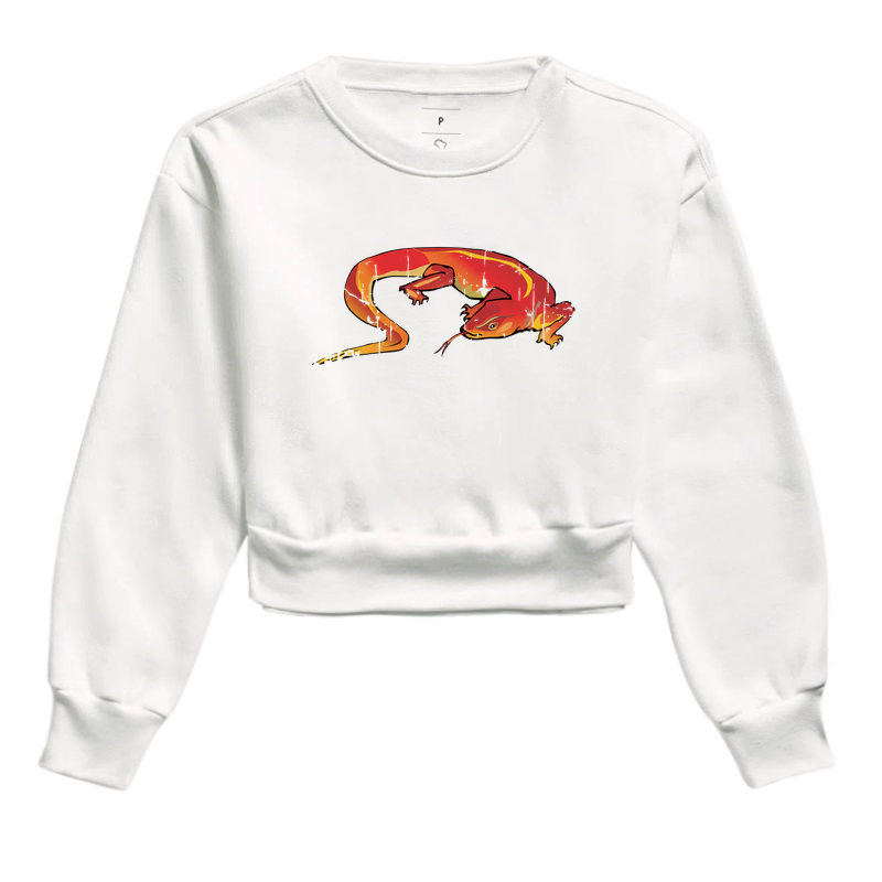 75 O Lagarto