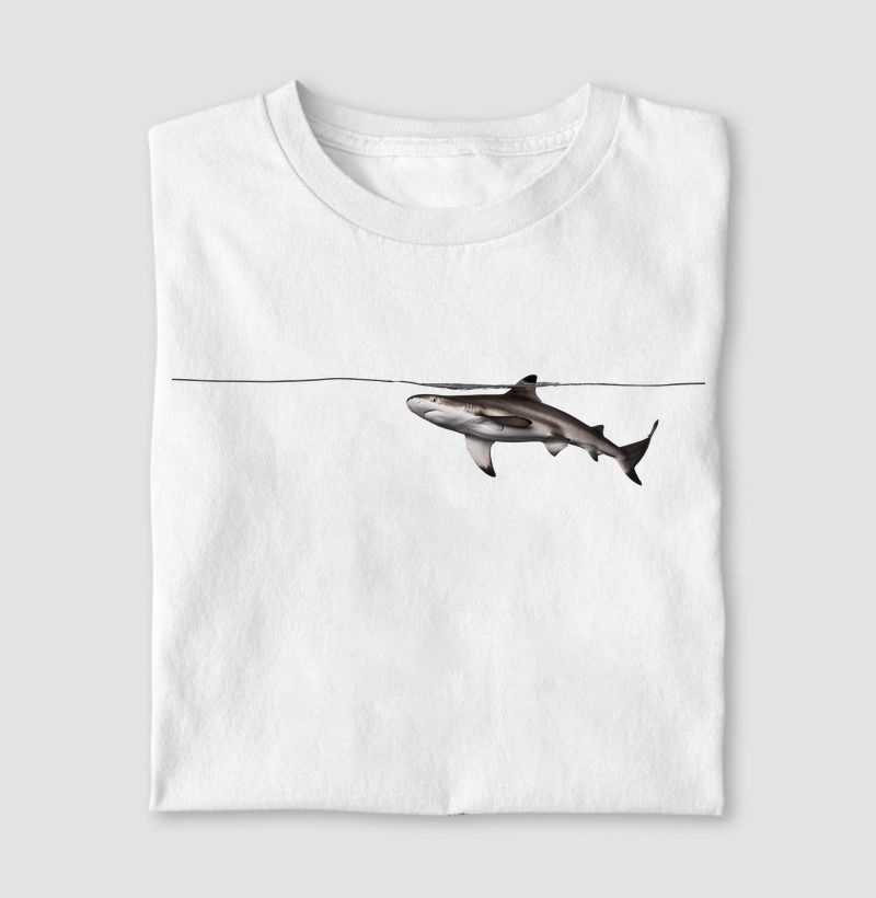 Shark Surface