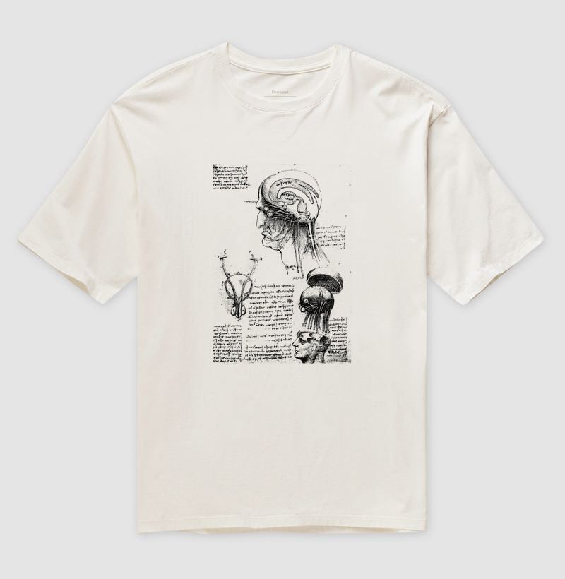 Brain_Physiology (1510) - Leonardo Da Vinci