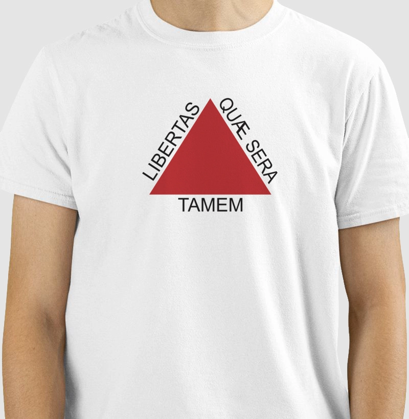Camiseta Bandeira de Minas Gerais