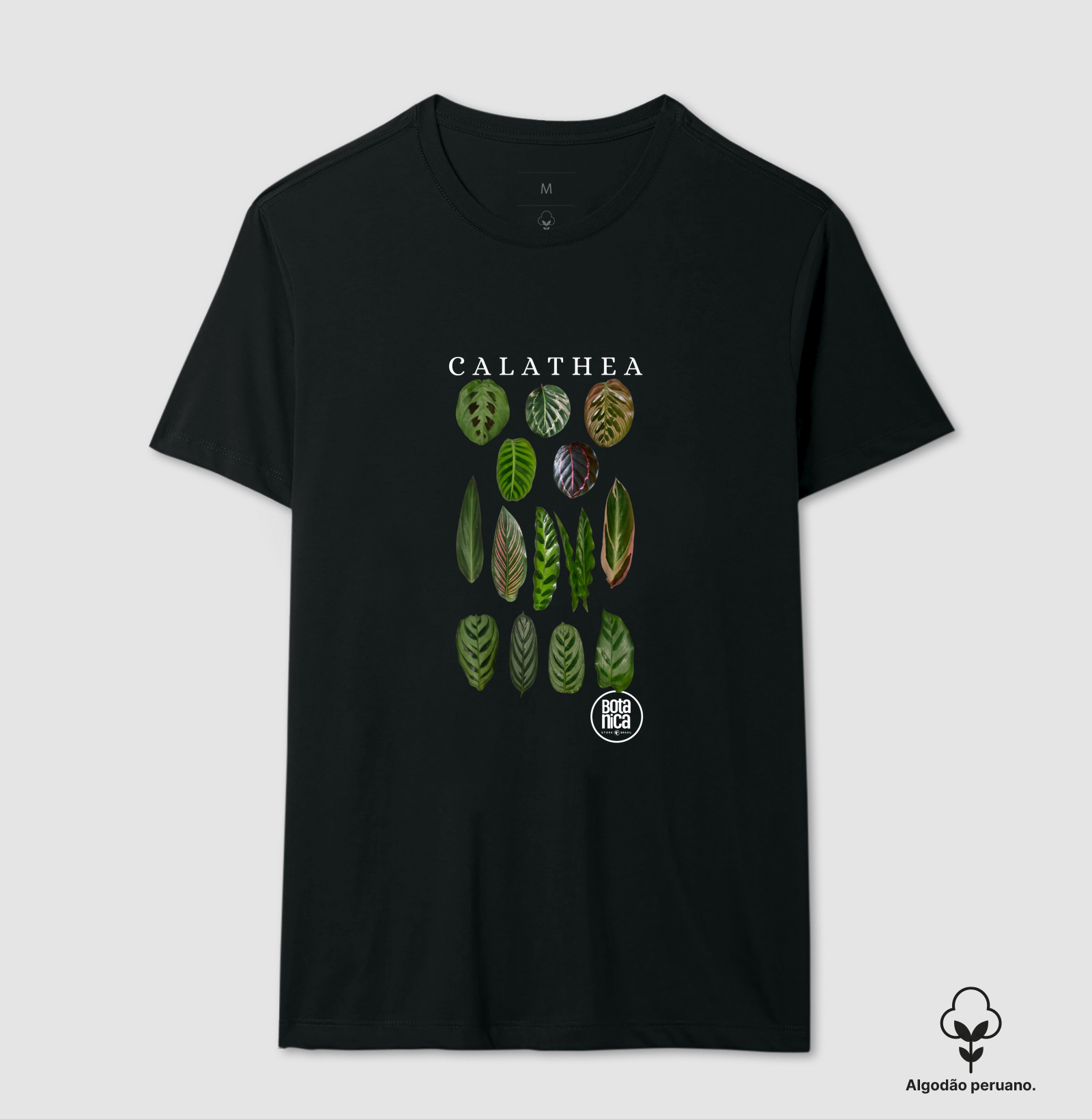 Calatheas