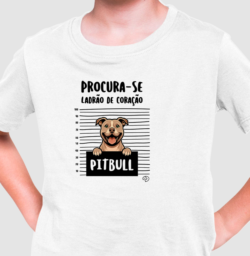 Pitbull Ladrão de Coração