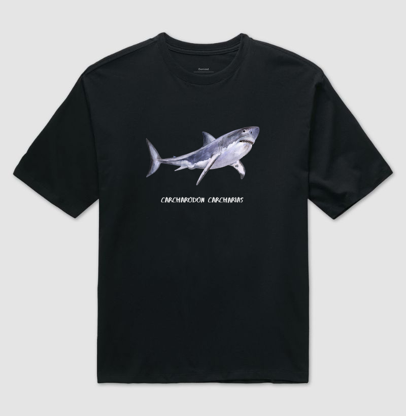 Carcharodon carcharias
