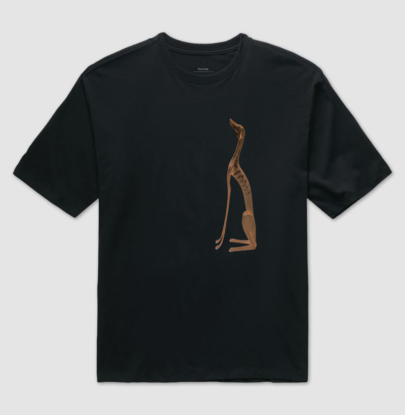 Camisa 0
