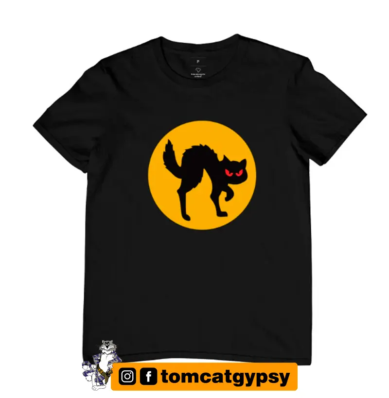 US Army - 282nd Aslt. Hel. Co. Black Cats 