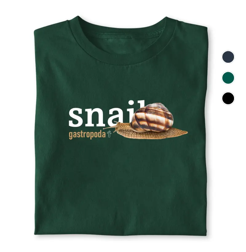 Snail