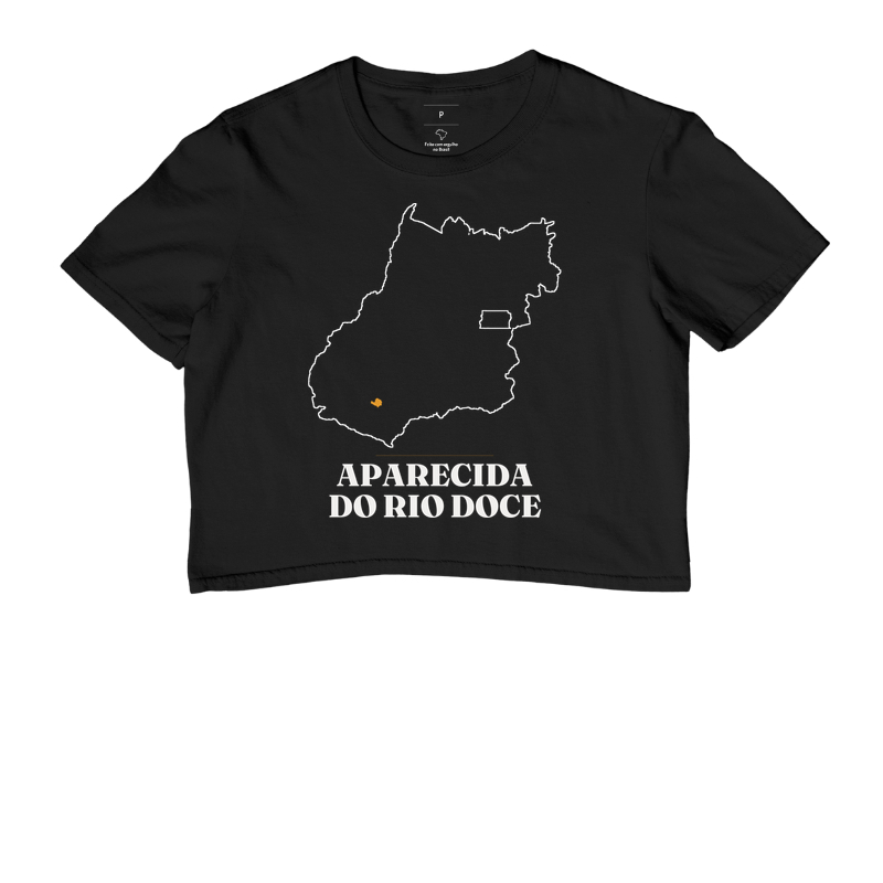 Aparecida do Rio Doce | Traço GO