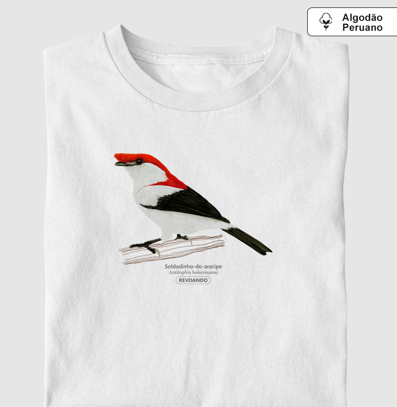 Inky Aves - Soldadinho-do-araripe - Algodão Peruano