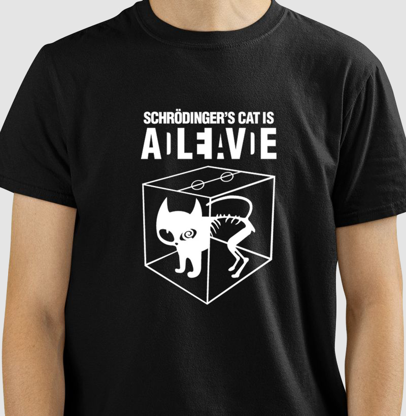 PARADOXO DO GATO DE SCHRODINGER