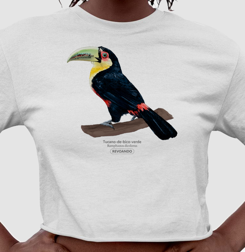 Aves do Brasil - Tucano-de-bico-verde - Cropped