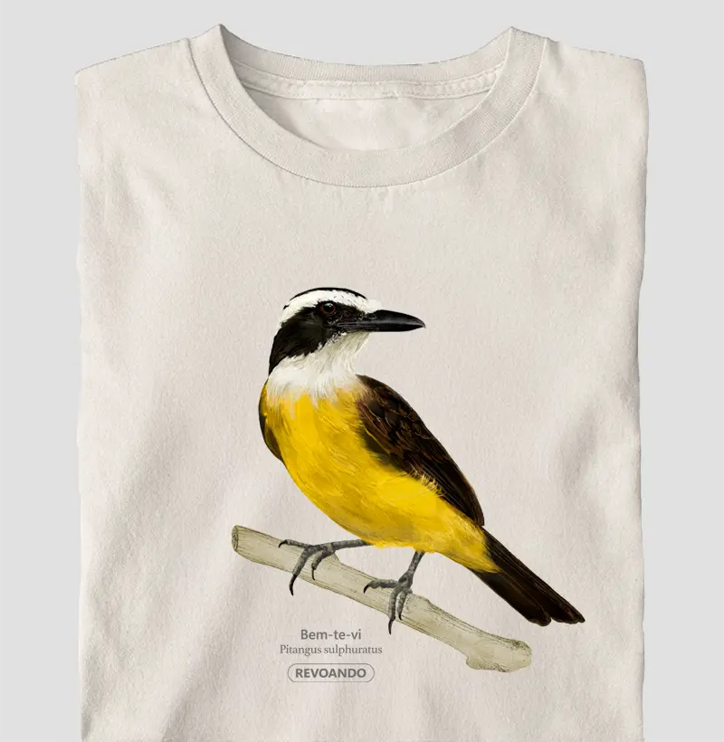 Aves do Brasil - Bem-te-vi - Oversized