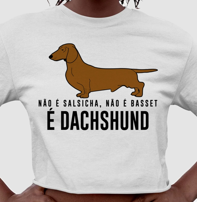 Não é Salsicha...Dachshund
