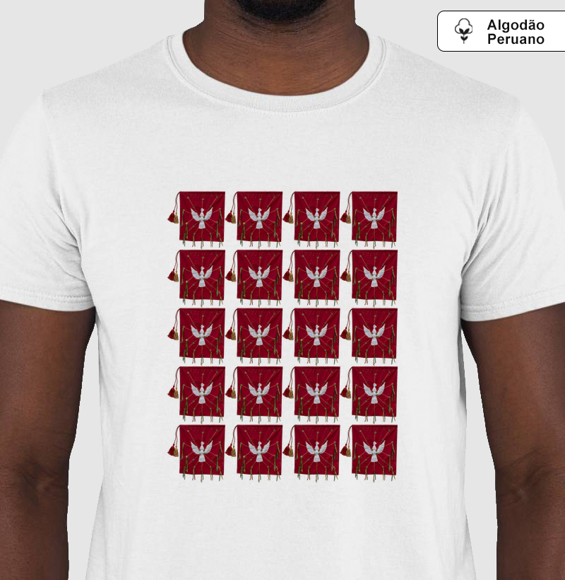 Festa do Divino de Turmalina 2026