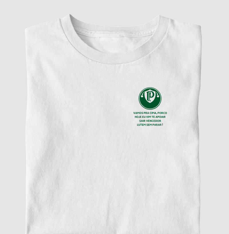 Futebol Times Palmeiras