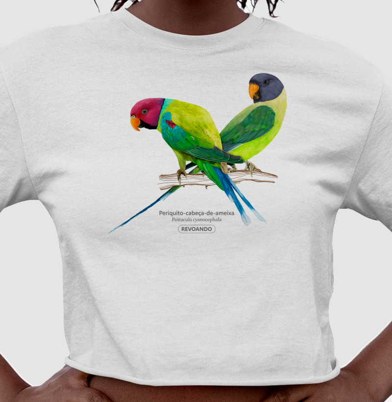 Love Friends - Periquito-cabeça-de-ameixa - Cropped