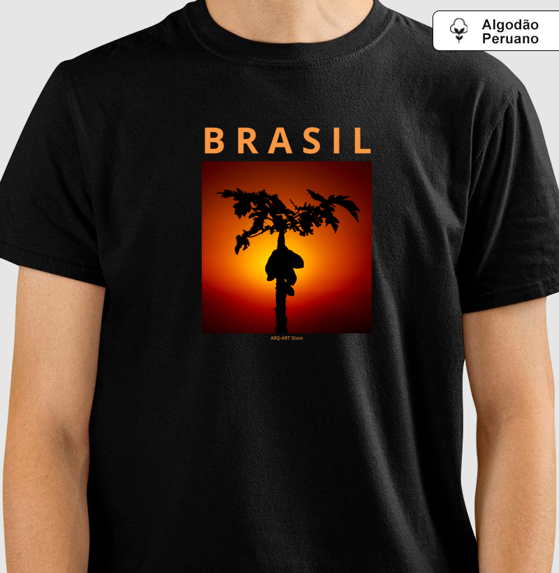 Brasil I