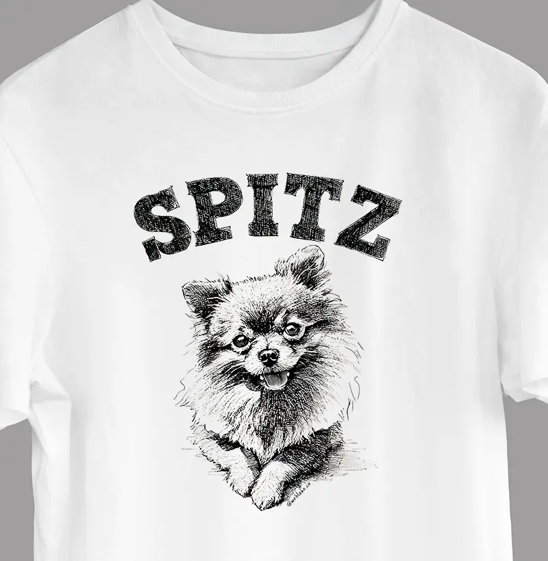 Spitz Alemão | Sketch