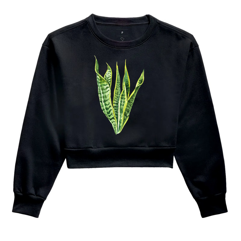 Espada-de-São-Jorge