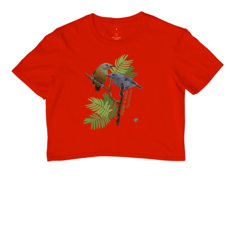 Cropped Choquinha-de-alagoas 