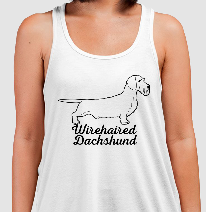 Wirehaired Dachshund 02