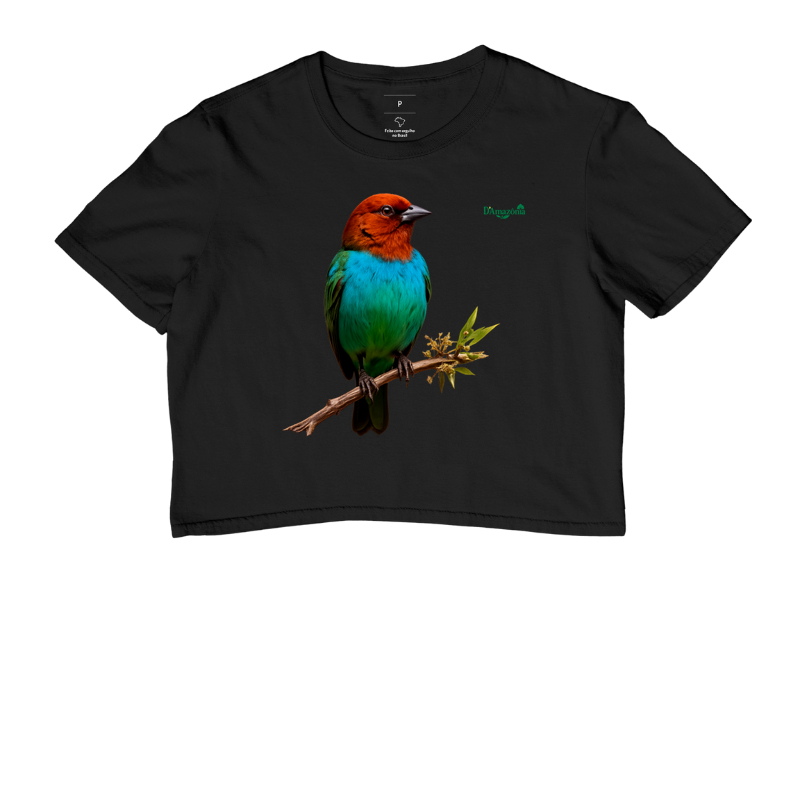 Saíra-de-Cabeça-Castanha