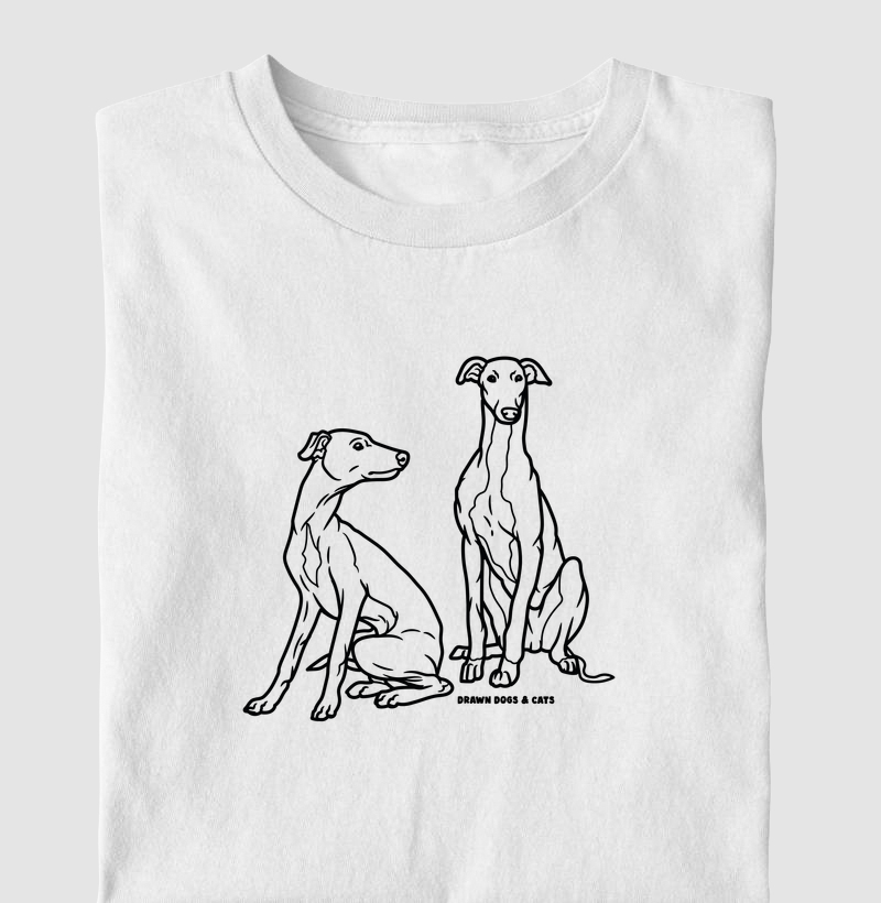 Galgo italiano