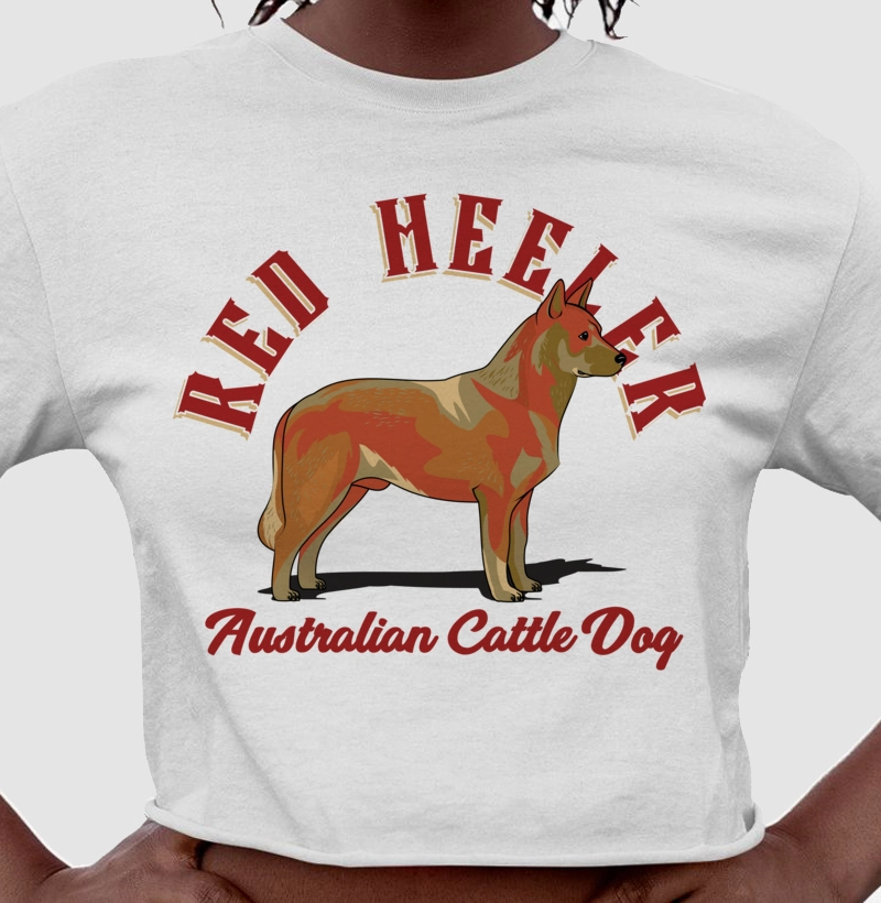 Australian Cattle Dog Red