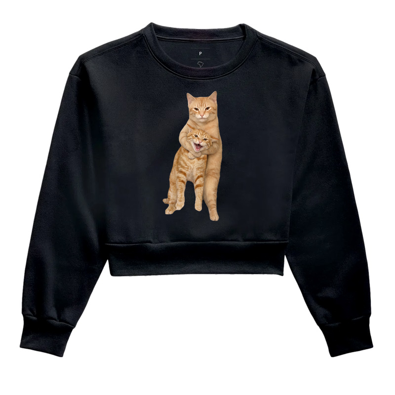 Controle Felino Laranja