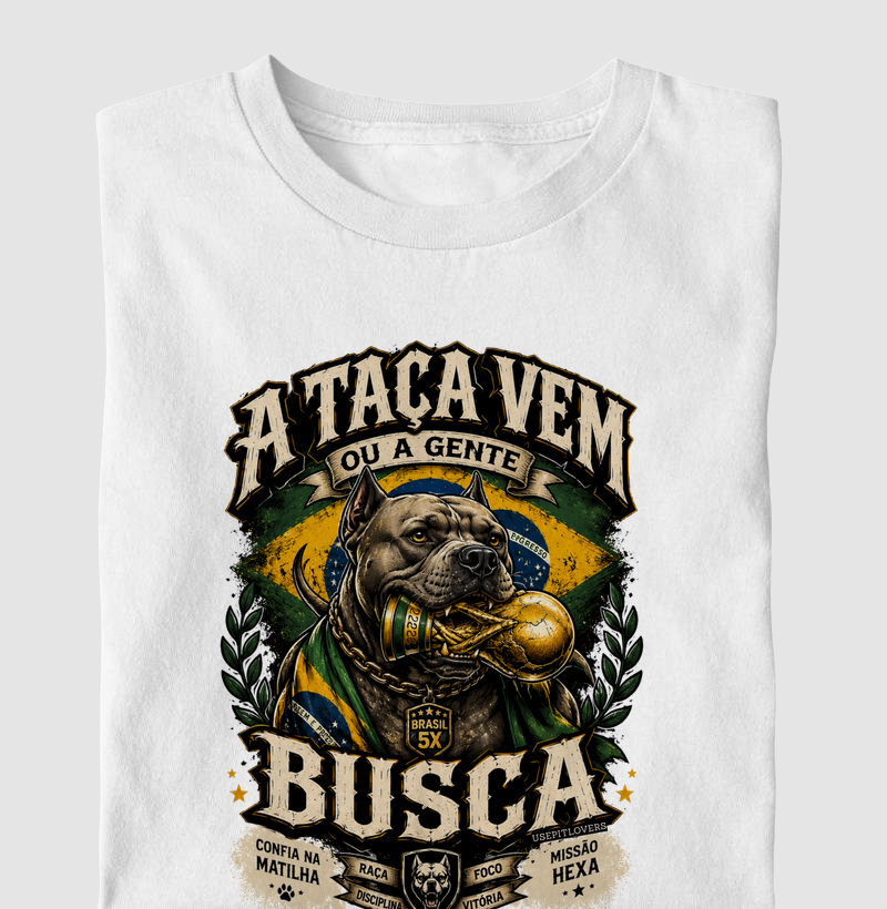 A TAÇA VEM OU A GENTE BUSCA